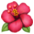 🌺