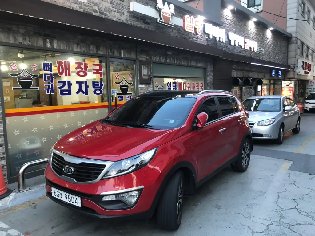 2019년의 내 스포티지. 10여년이 지났음에도 광이 여전히 살아있다!