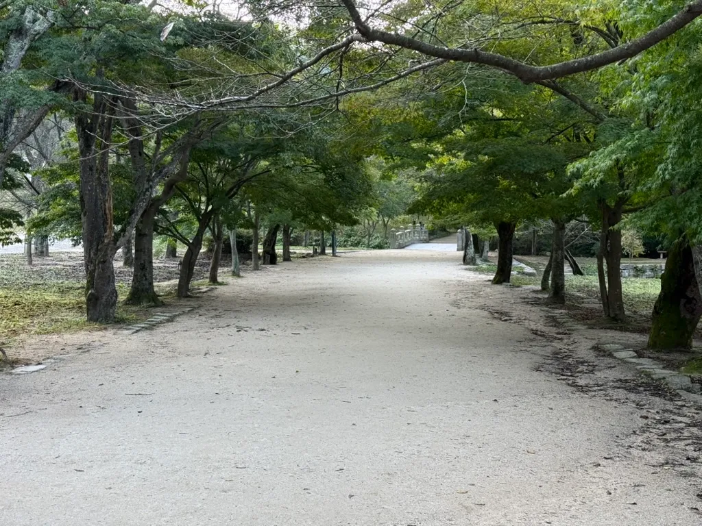 꽤 유명하다는 전나무숲길. 사진과는 달리 상당히 긴데, 확실히 분위기 있다. 이만한 길, 분명 쉽지 않아 보인다.